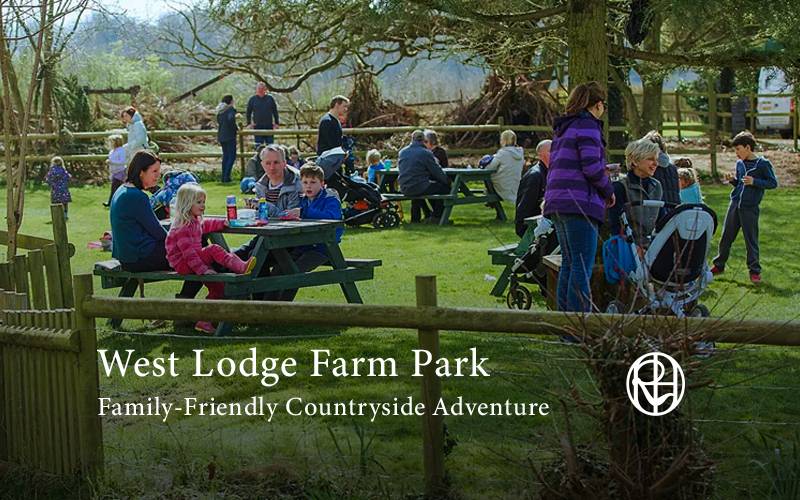 West Lodge Farm Park: Family-Friendly Countryside Adventure